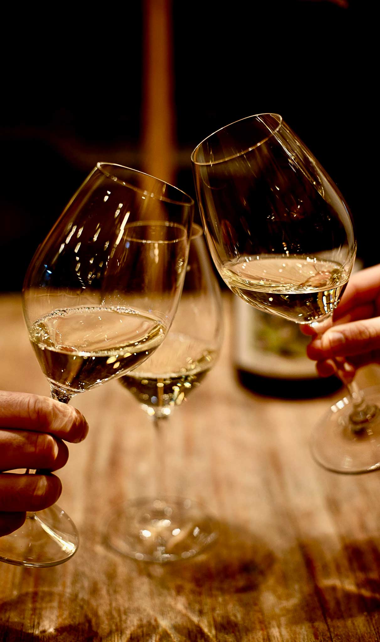 Notre-Dame: French Gastronomy & Wine Tour