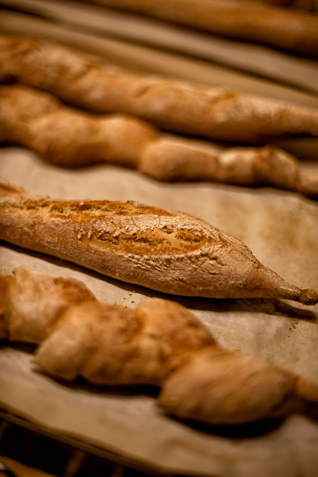 Freshly baked golden baguettes and twisted bread on parchment-lined oven racks during a French bread baking class at Maison Fleuret Paris